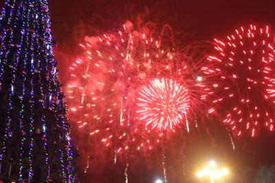 Новый год на площади Победы отметили пять тысяч рязанцев